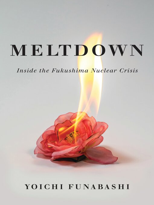 Title details for Meltdown by Yoichi Funabashi - Wait list